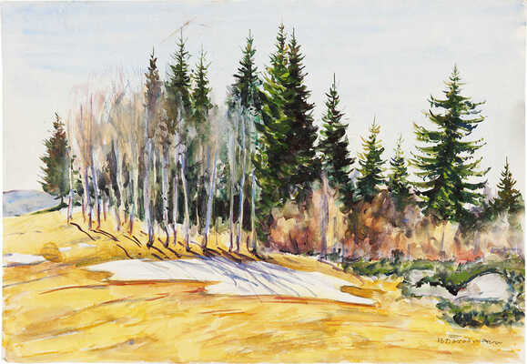 Дородницын Вениамин Павлович. Последний снег